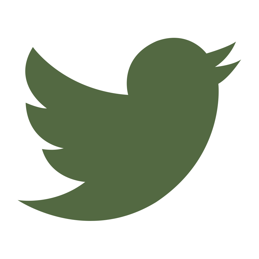 Creation Customized twitter